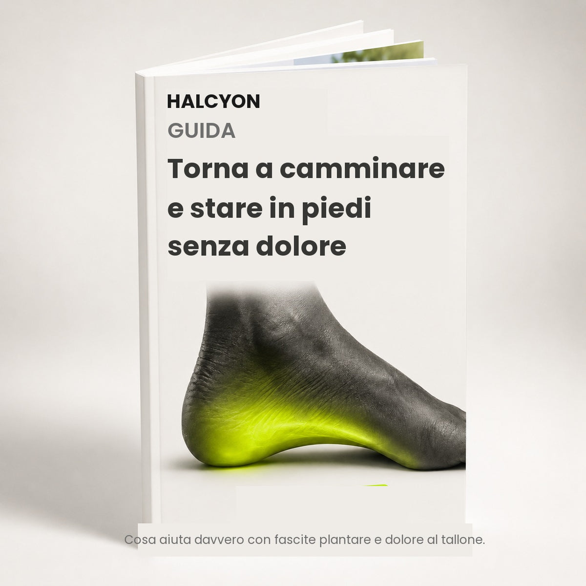 HALCYON