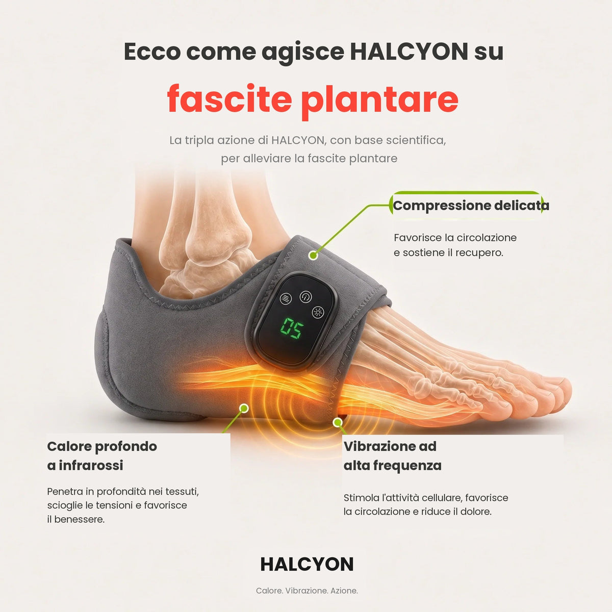 HALCYON