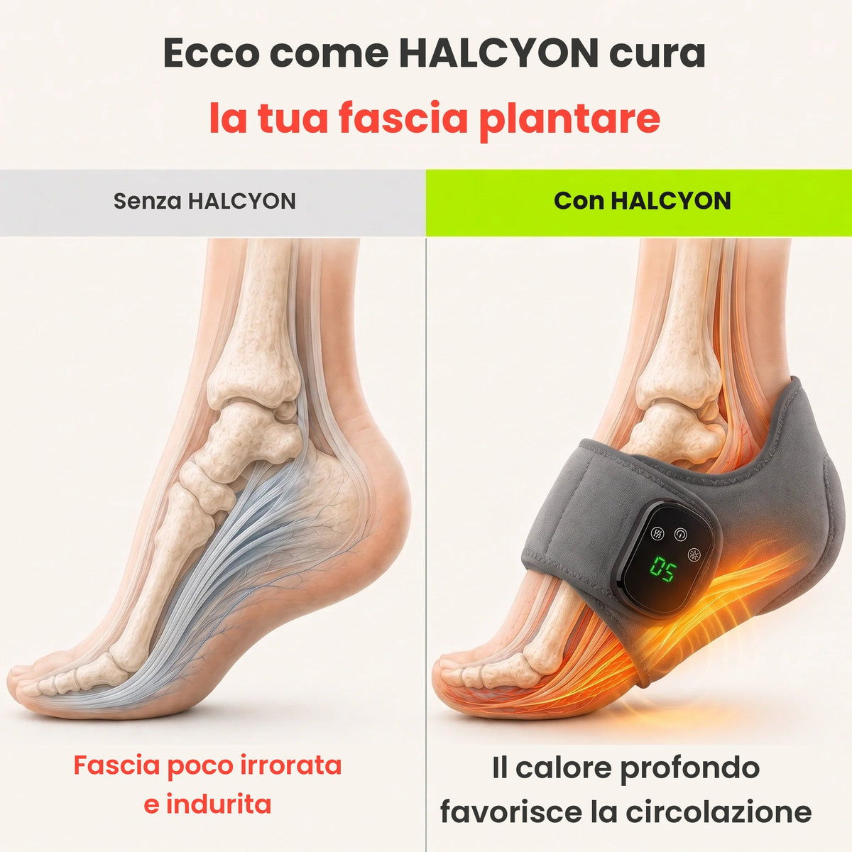 HALCYON